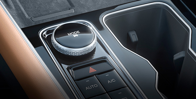 Dual Cup Holders